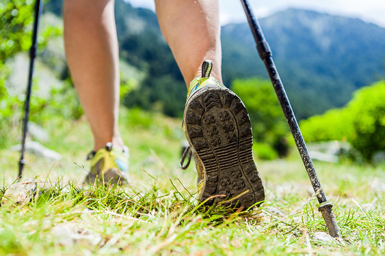 Nordic Walking Experience